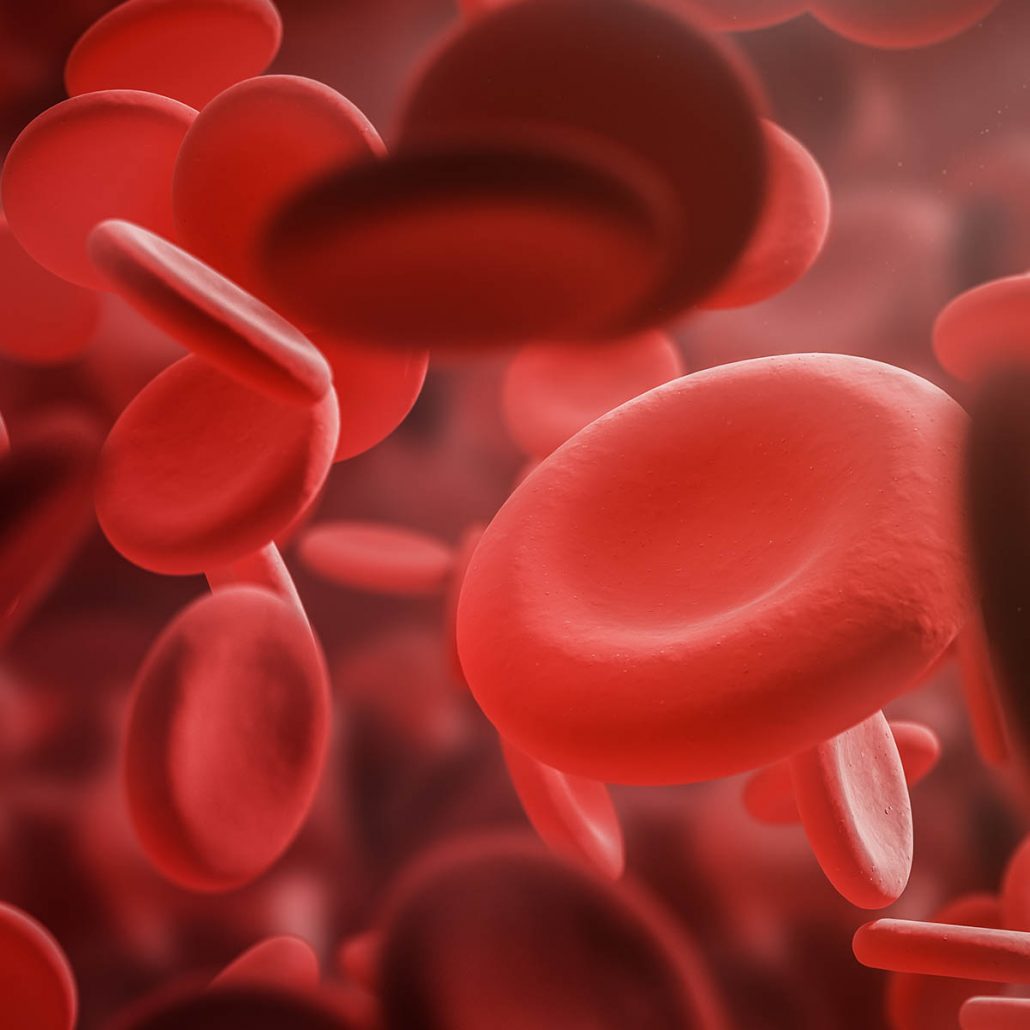 Blood cells